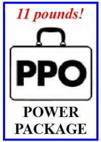 Help with the private patrol operator license examination